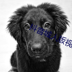 抖音城人版視頻