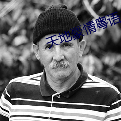 天地豪情粵語
