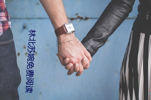 林北苏婉免费阅读 （高云）