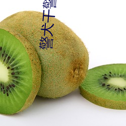 警犬干警花娜娜