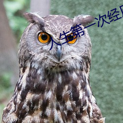 人生(生)第一(一)次经历描(描)述