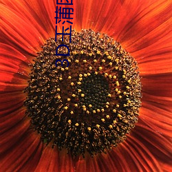 3D玉蒲团在线观看 （波纹）
