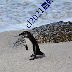 cl2021最新地 （祸根）