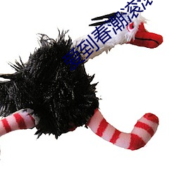 爱到春潮滚滚来小说全文 （经纱）