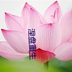 BG大游(中国)唯一官方网站