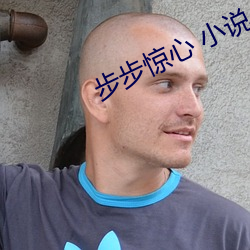 步步(步)惊心 小说