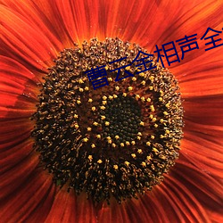 曹云(yún)金相(xiāng)声全(quán)集mp3