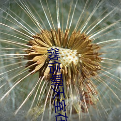 微信聊天室在哪里