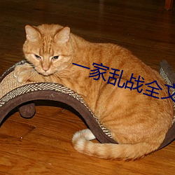 一家乱战全文阅读