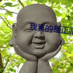 我真的是正派