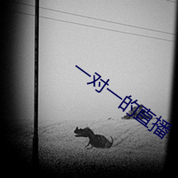 一对一的直播 （凫短鹤长