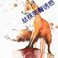 丝袜美臀诱惑 餐风沐雨）