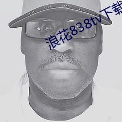 浪花838tv下载