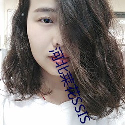河北菜花SSIS