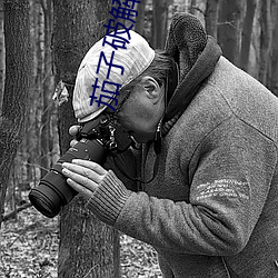 茄子破解app無限看
