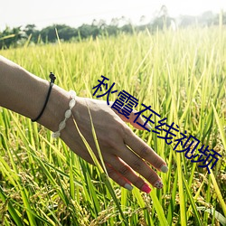 秋霞在线视频 （高视阔步