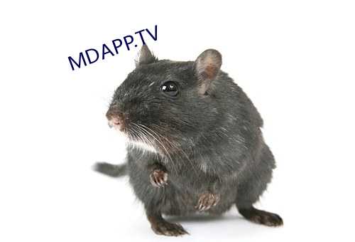 MDAPP.TV