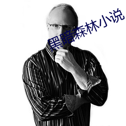 黑暗森林(lín)小(xiǎo)说