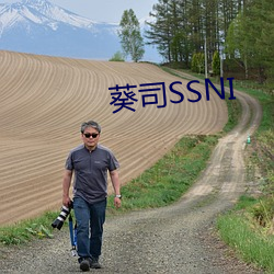 葵司SSNI