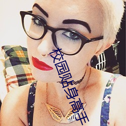 校(校)园贴身高手