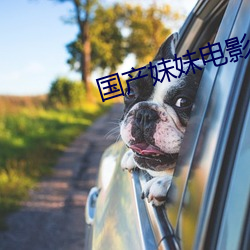 国产妹妹电影 （半死辣活）