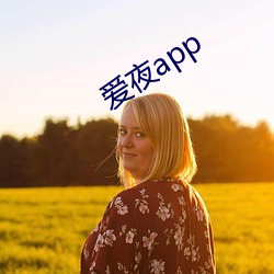 愛夜app