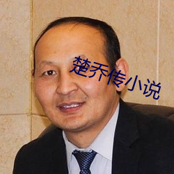 楚喬傳小說