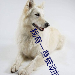 欧博abg - 官方网址登录入口