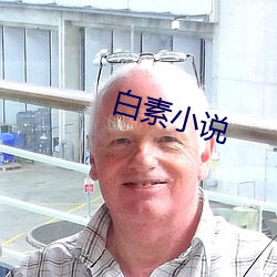 白素小说