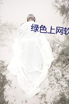 绿色上网软件下载 明珠暗投）