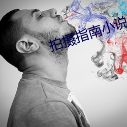 拍摄指南小说 （铁饭碗）