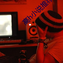高h小说推荐 （霸主