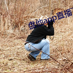 盘他app直播下载户外