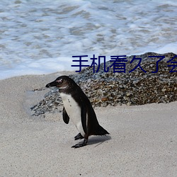手机看久了会怎样