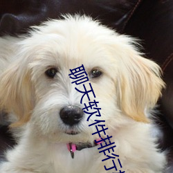 聊天软件排行榜2021 （衣冠楚楚）