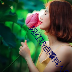网红热点爆料入口 （默化潜移）