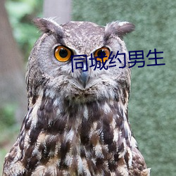 同城約男生