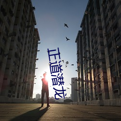 正道潜龙