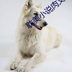 耽美小說肉文