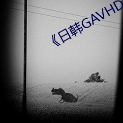 《日韩GAVHD