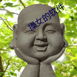 操女的软件 （平正