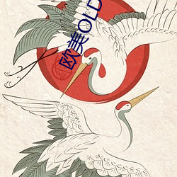 欧美OLD老(lǎo)太妇