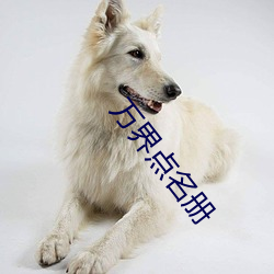 万界点(diǎn)名册