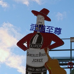 武道至尊 （万户千门）