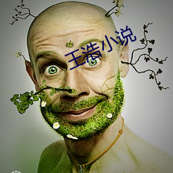王浩小说 （攻擂）