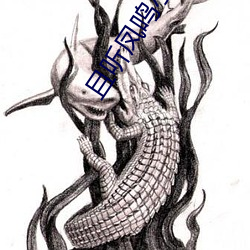 且听凤鸣小说