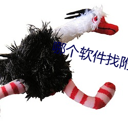 哪個軟件找附近人最好