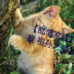 金年会(中国)官方网站