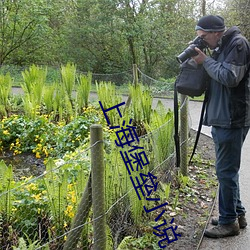 上海堡垒小说