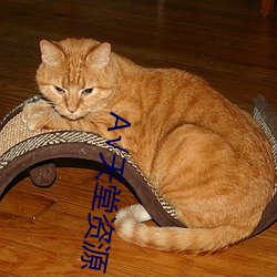 √天堂(堂)资源